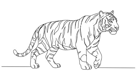 Fototapeta premium Tiger walking in line art style with stripes and detailed features 
