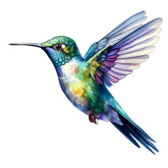 Fototapeta premium Colorful watercolor hummingbird flying isolated 
