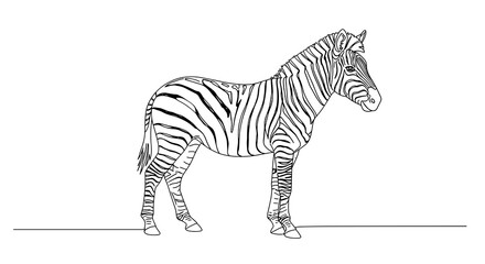 Naklejka premium Zebra outline illustration on transparent background in minimalist style 