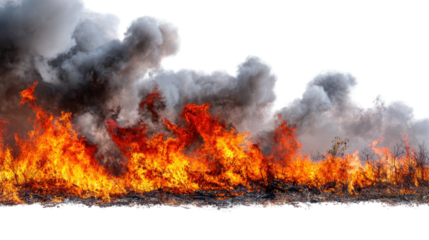 A vivid representation of fire with bright flames and dark smoke creating a dramatic visual. Perfect for illustrating environmental issues or disaster themes.
