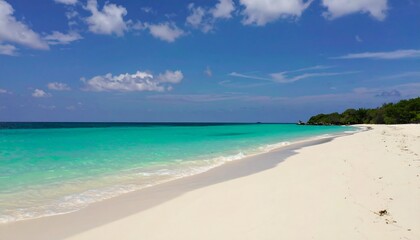 Obraz premium Tropical beach scene with turquoise water