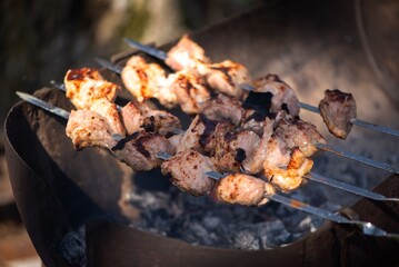 Juicy grilled meat skewers on a barbecue.