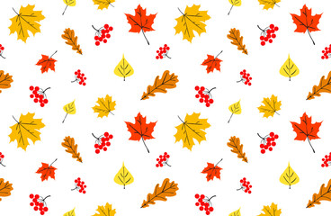 Autumn vector pattern. Seamless foliage pattern. Hand drawn foliage pattern. Autumn foliage print.