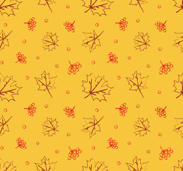 Autumn vector pattern. Seamless foliage pattern. Hand drawn maple pattern. Outline maple print.