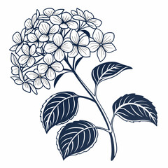  hydrangea paniculata with leaves 