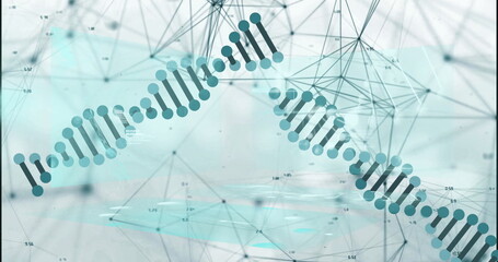 Displaying stylized DNA double helix occupying data space, with polygonal mesh and floating labels