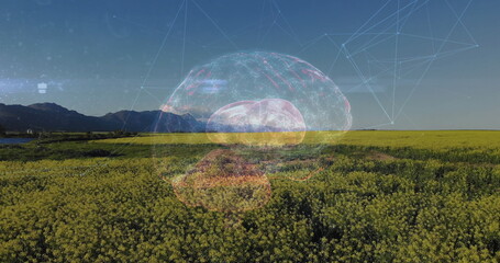 3D brain graphic sending glowing neural network lines across yellow flowering field, mountain ridge