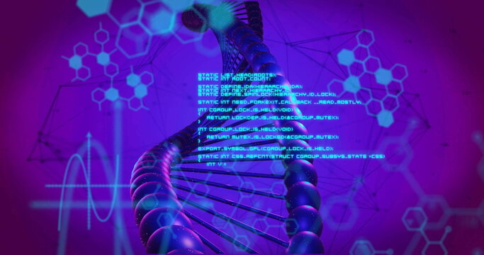 Rotating 3D DNA double helix in digital environment, with code overlay, hexagons, waveform graphic - Powered by Adobe