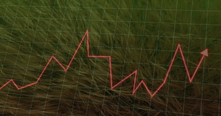 Displaying red zigzag line graph with arrow fluctuating on tall dry grass with green grid overlay