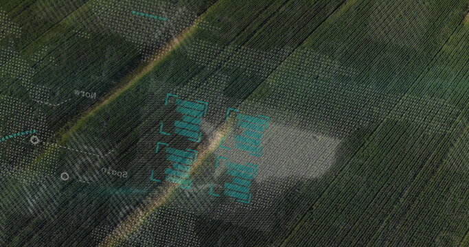 Overlaying drone telemetry graphics on orchard rows from drone view, showing crosshair reticle