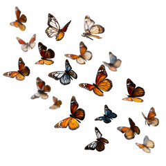 Orange, blue butterflies float; isolated digital render is for nature videos, social media, and branding.