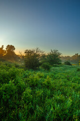 Fototapeta premium a beautiful, wide shot of a misty summer morning in a vibrant green meadow, with the soft, golden light of the sunrise beginning to illuminate the tranquil rural landscape and wild grass.