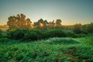 a calm, horizontal shot of a beautiful rural landscape at sunrise, with golden light filtering through a dense treeline, casting a gentle glow over a field of tall, dew-covered grass.