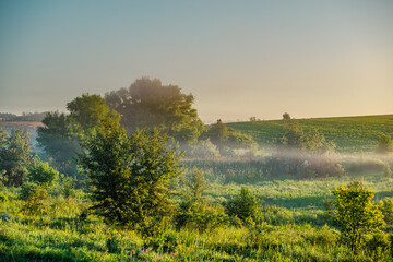 Peaceful morning mist at the base of a verdant hill, with the rising sun casting a soft, blue-gold...