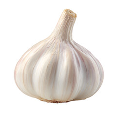 A bulb of fresh garlic its white skin hinting at the pungent flavorful cloves hidden inside A versatile ingredient ready to enhance
