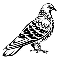 Obraz premium Stylized black and white dove or pigeon bird illustration
