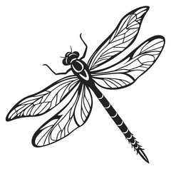 Obraz premium Black silhouette of a dragonfly with intricate wing patterns