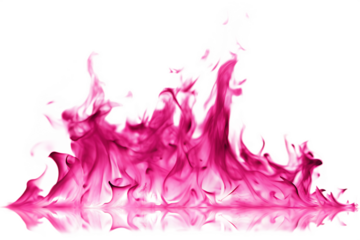 Vivid pink flames with reflection on isolated on a transparent background pink fire