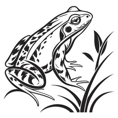 Obraz premium Stylized black and white frog sitting in tall grass
