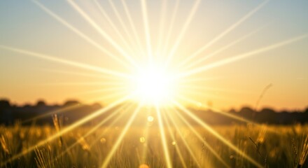 Bright sun shining over a field with golden light rays and blurred background.