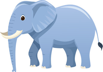 Fototapeta premium ゾウ