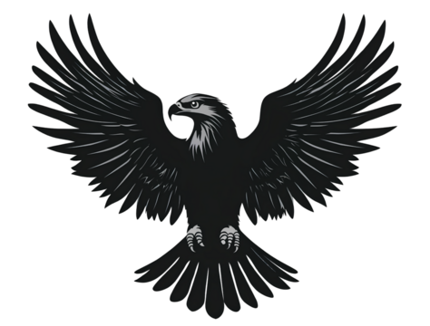 eagle eye, high school mascot logo design vector graphic silhouette black on transparent background.