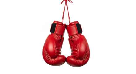 Red boxing gloves hang suspended