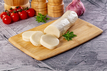 Italian dairy - mozzarella cheese with slices