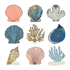 sea shells collection