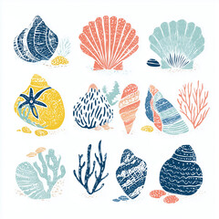 sea shells collection