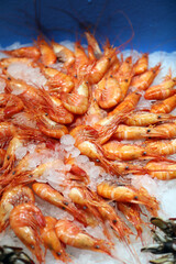 camarones en la pescadería sobre hielo escarchado