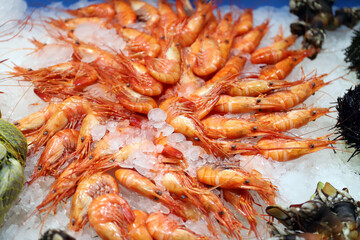 quisquillas y camarón en el hielo escarchado de la pescadería