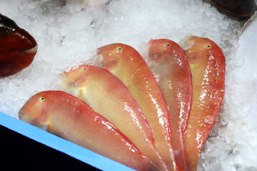 pescados galanes en la pescadería con hielo de escarcha