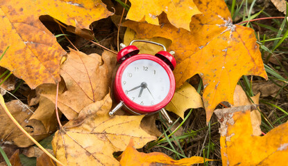Alarm clock in colorful autumn leaves isolated against a white background with light shadow and...