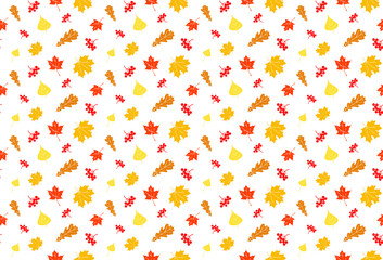 Autumn pattern on transparent background. Isolated autumn pattern Hand drawn foliage pattern. Isolated autumn foliage print.