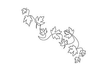 Continuous one line drawing of Autumn Leaves. Single line drawing illustration of Fall leaves. Autumn vibes concept vector art. Doodle line illustration.