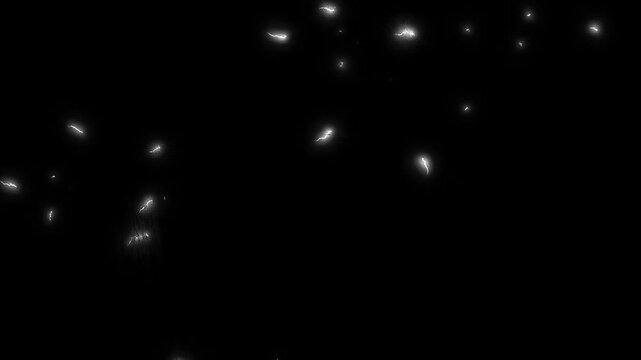 Doodle 2d Lightning power overlay black screen, Electric lightning, Animated bolt strikes, lightning storm, white light force effect, Lightning flash Thunderbolt Cartoon scribble 2d animation