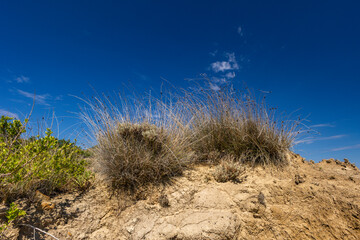 Rab Pyramids, Sand Dunes, Lopar, Strucic Beach on Rab Island,