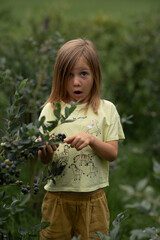 In the summer, a girl is picking blueberries and looks at them with a surprised expression.