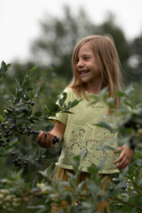 a smiling child girl picking blueberries in the summer on a farm