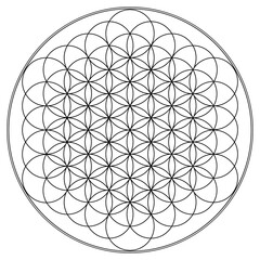 Black and White Flower of Life design featuring interlocking circles, symbolizing universal balance, interconnectedness, and the blueprint of creation. Vector art