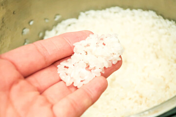 手に持った炊き立てのご飯 / Freshly Cooked Rice in Hand
