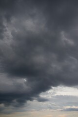 Clouds over the forest in summer