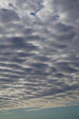 Obraz premium Clouds over the forest in summer