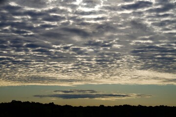 Clouds over the forest in summer
