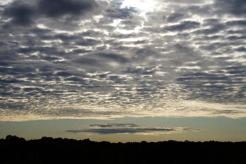 Clouds over the forest in summer
