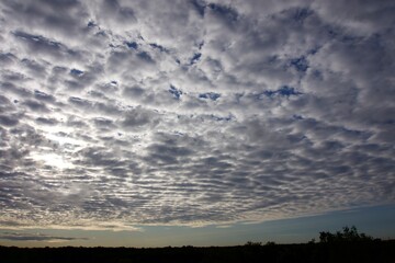 Fototapeta premium Clouds over the forest in summer