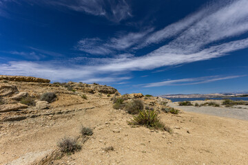 Wild vegetation growing on the rocks on the island of Rab, sand dunes, quicksand,