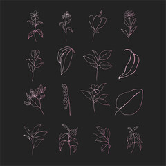Flora Botanical Vector Set