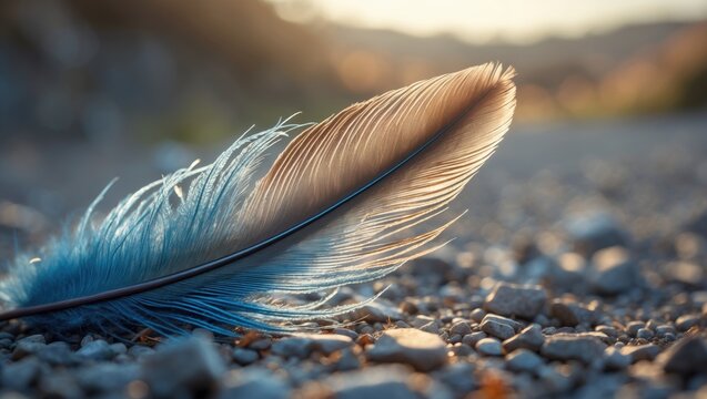Close-up of a blue and brown feather on rocky ground with blurred background. Nature and wildlife, macro shot. Birds and feathers, detailed textures. - Powered by Adobe